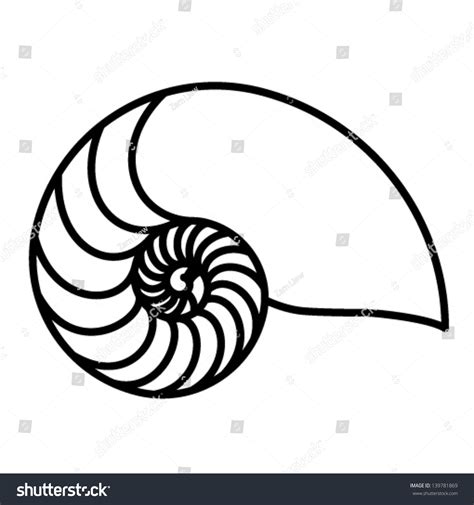 nautilus shell pictures|nautilus shell outline.